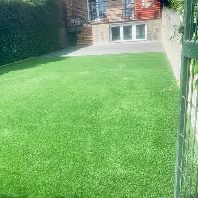 Un césped verde y exuberante en un patio trasero al lado de una casa.