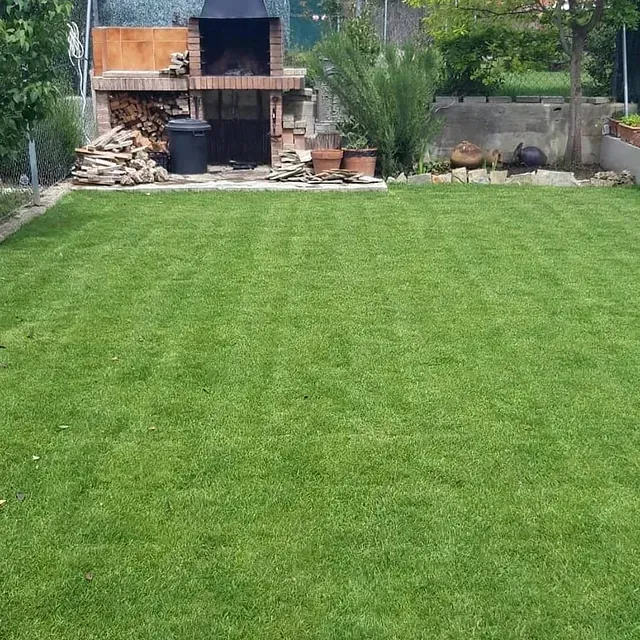 Un gran césped verde exuberante con una barbacoa al fondo.