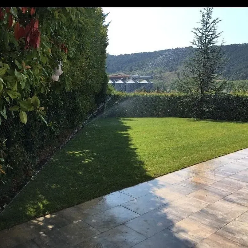 Un aspersor está rociando agua sobre un césped verde y exuberante.