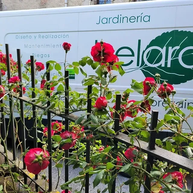 Una camioneta blanca con la palabra jardineria en ella