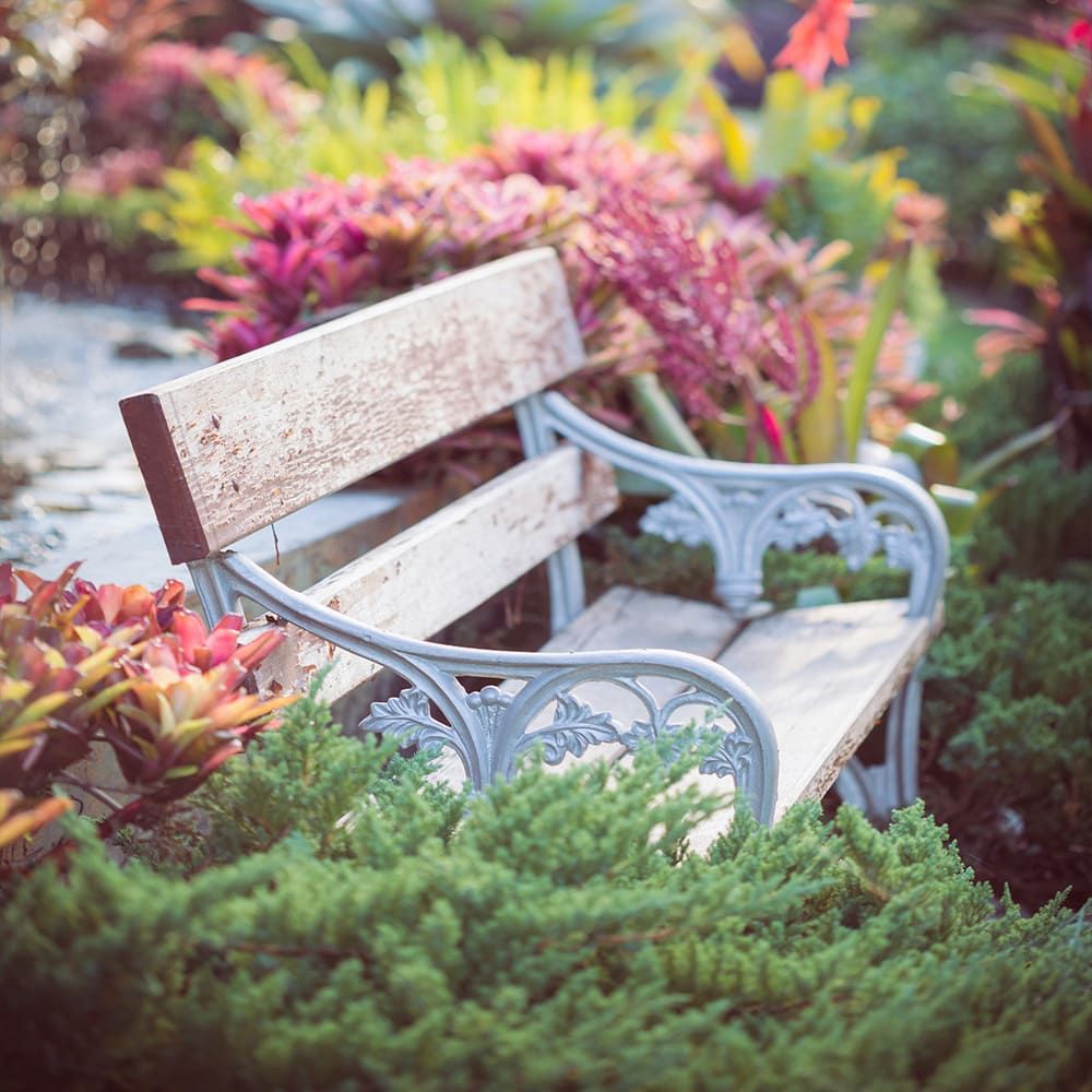 Un banco de madera está sentado en el medio de un jardín rodeado de flores.