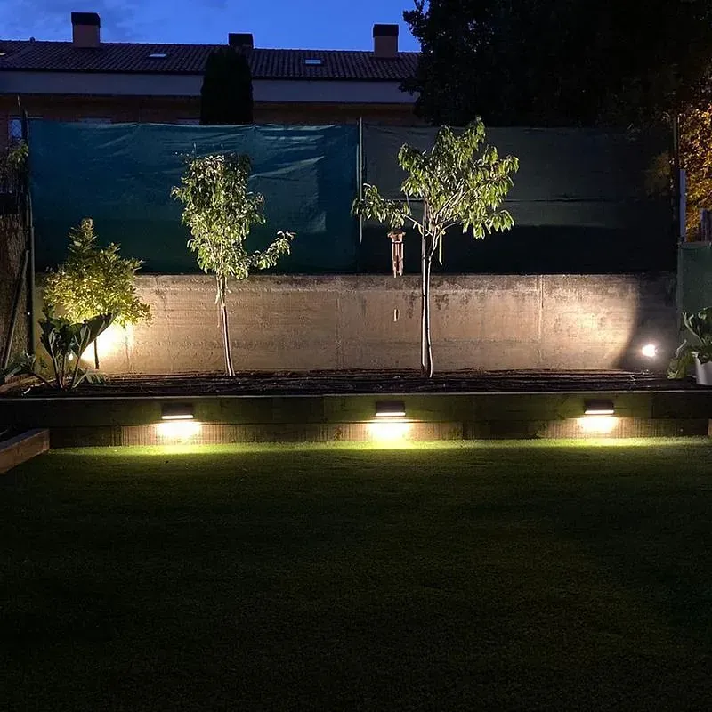 Un jardín con árboles y arbustos está iluminado por la noche.