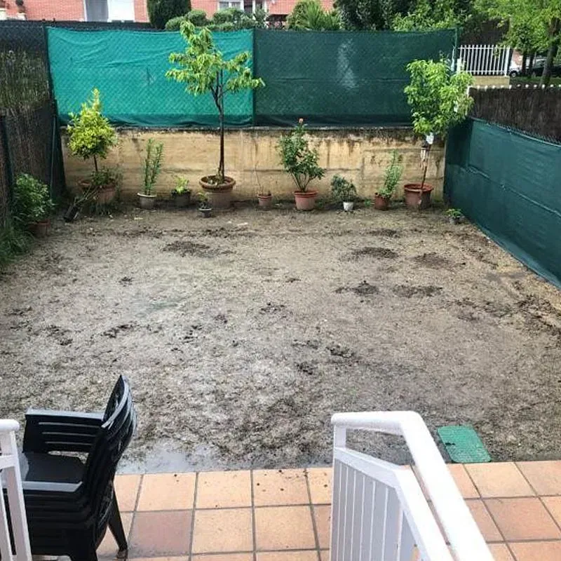 Un patio trasero embarrado con una cerca verde y plantas en macetas.