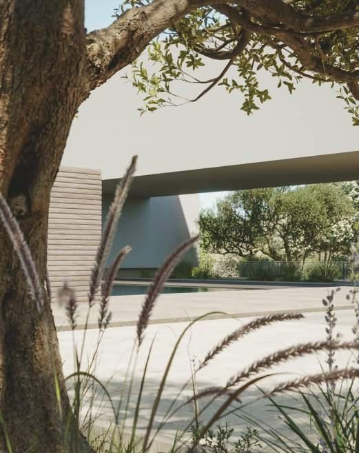 Un árbol se encuentra frente a un edificio blanco.