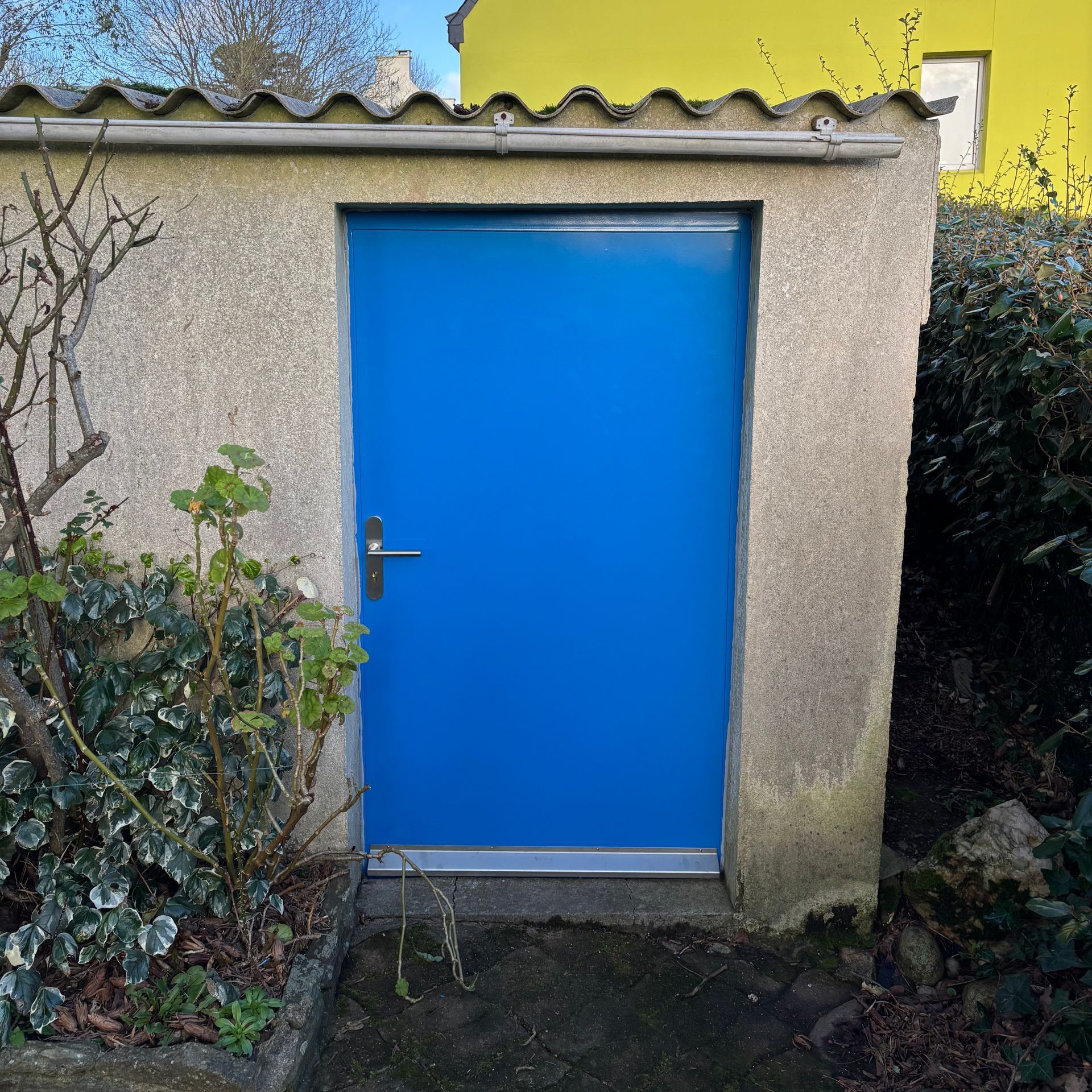 Porte de cave bleue