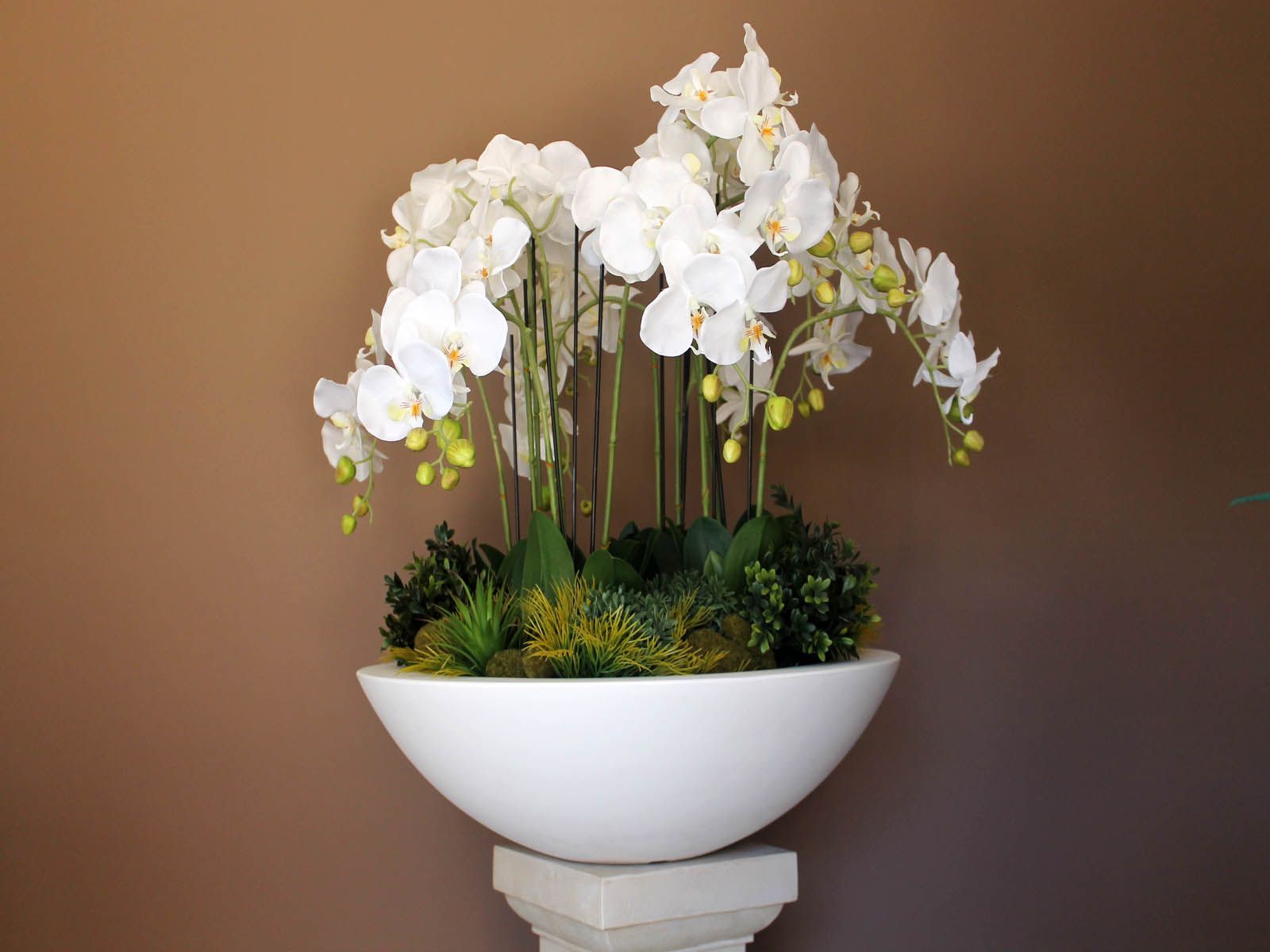 Des orchidées blanches dans un grand pot en forme de bol blanc, posé sur un piédestal en pierre contre un mur brun.