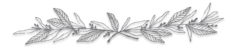 Dessin d'une guirlande de plantes feuillues avec une ombre légère.