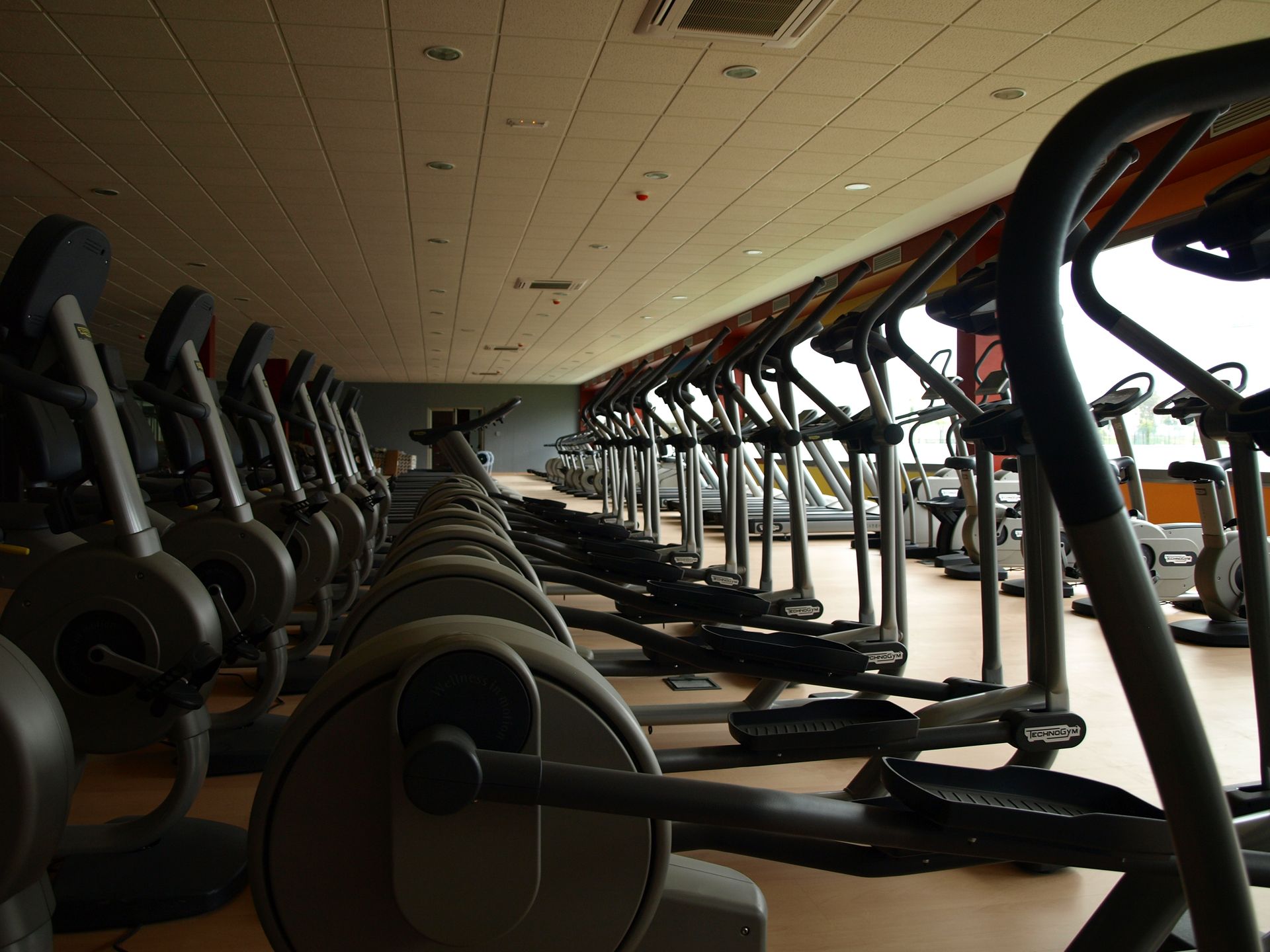 Una fila de elípticas están alineadas en un gimnasio