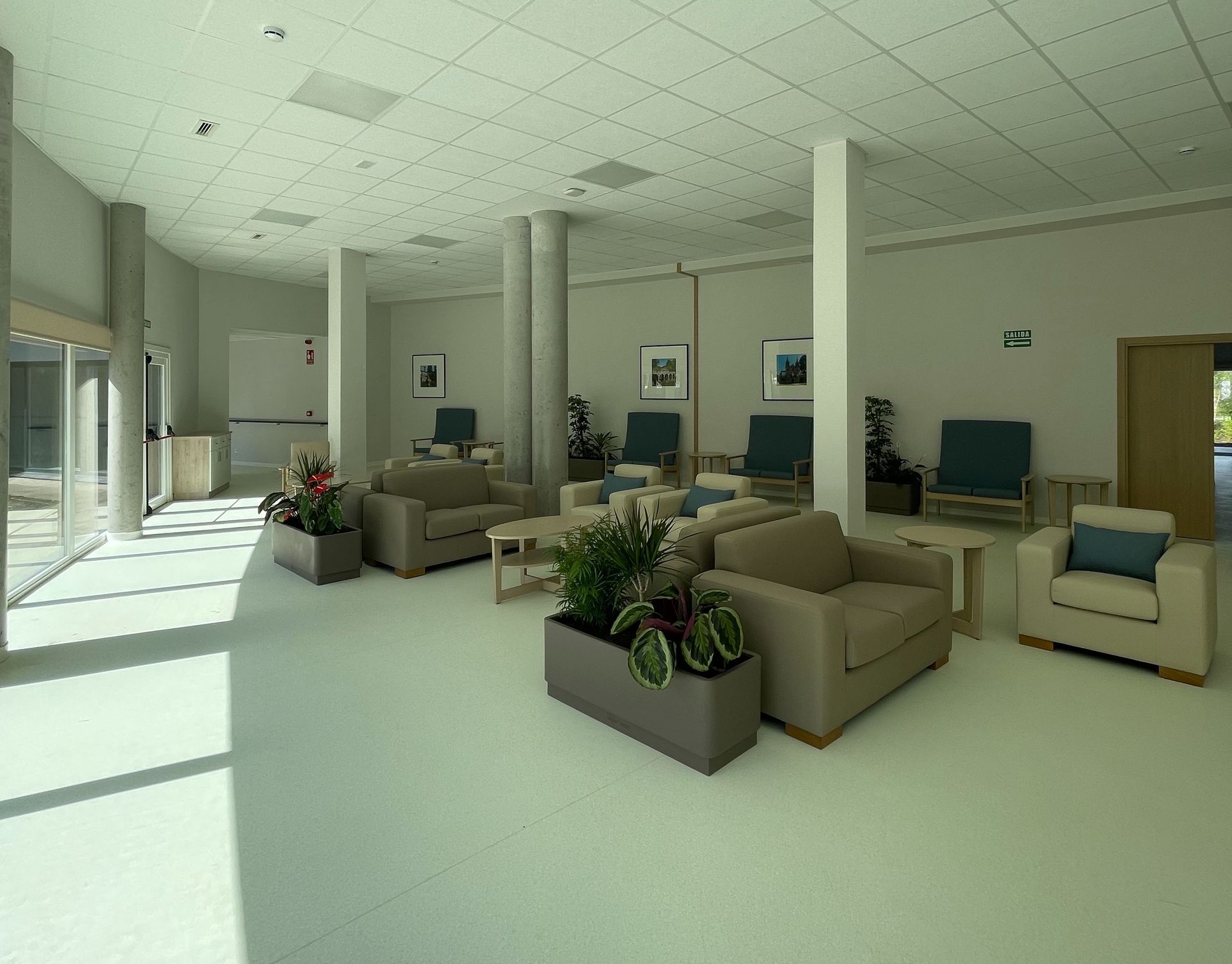 Una sala de estar con muchos muebles y plantas.