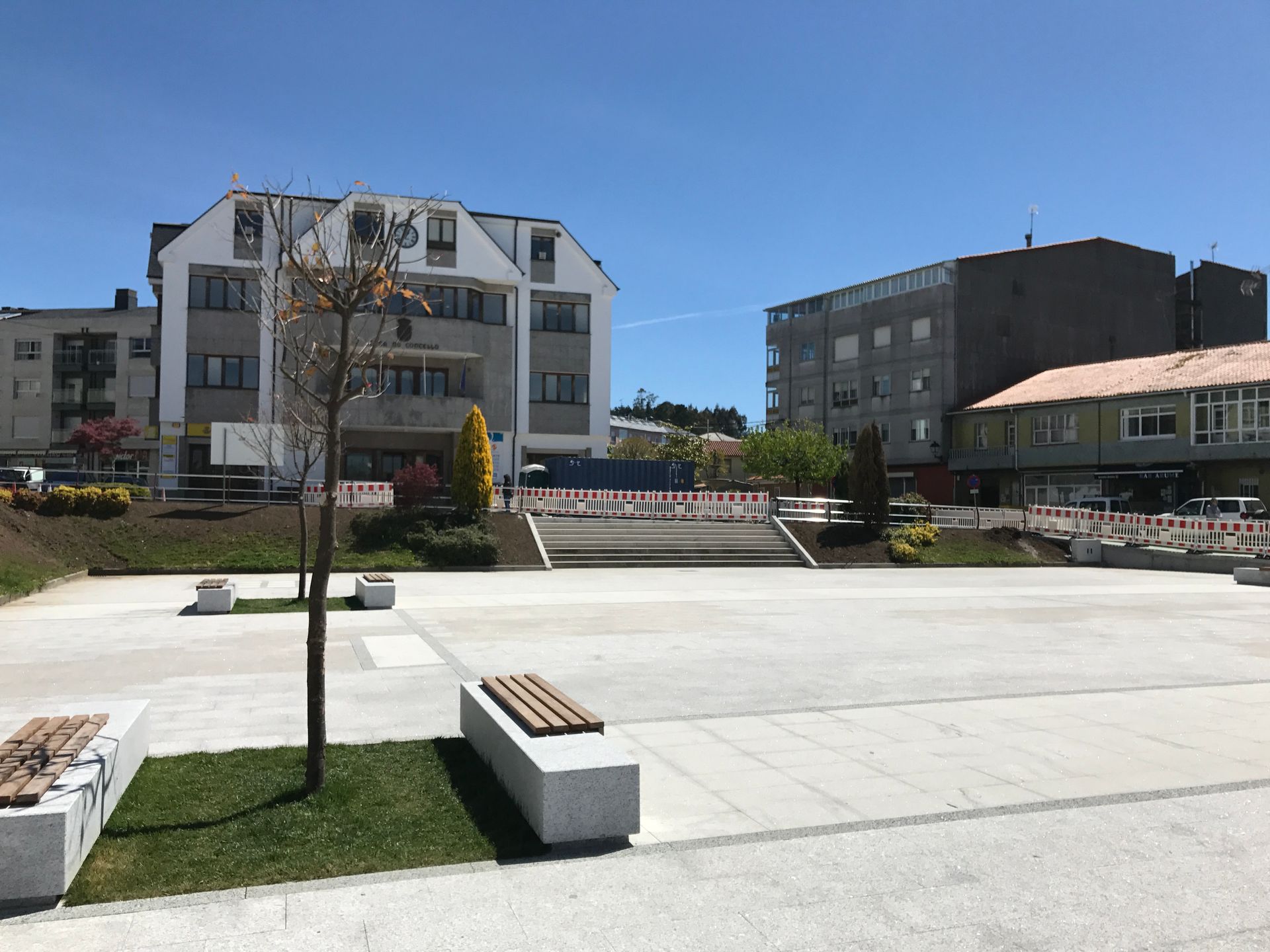 Hay un árbol en el medio de una plaza frente a un edificio.