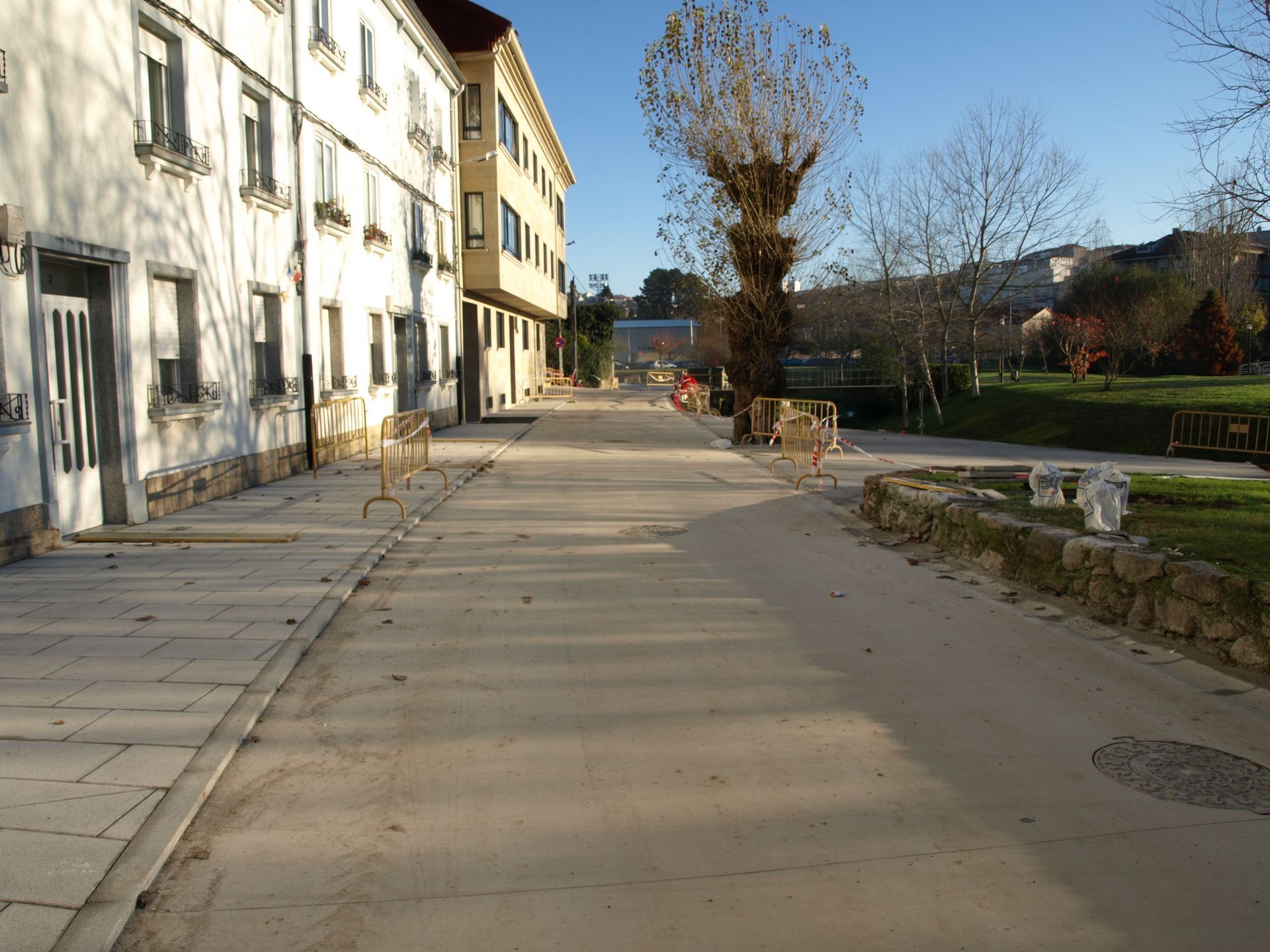 Una calle con un árbol en el medio y un edificio al fondo.