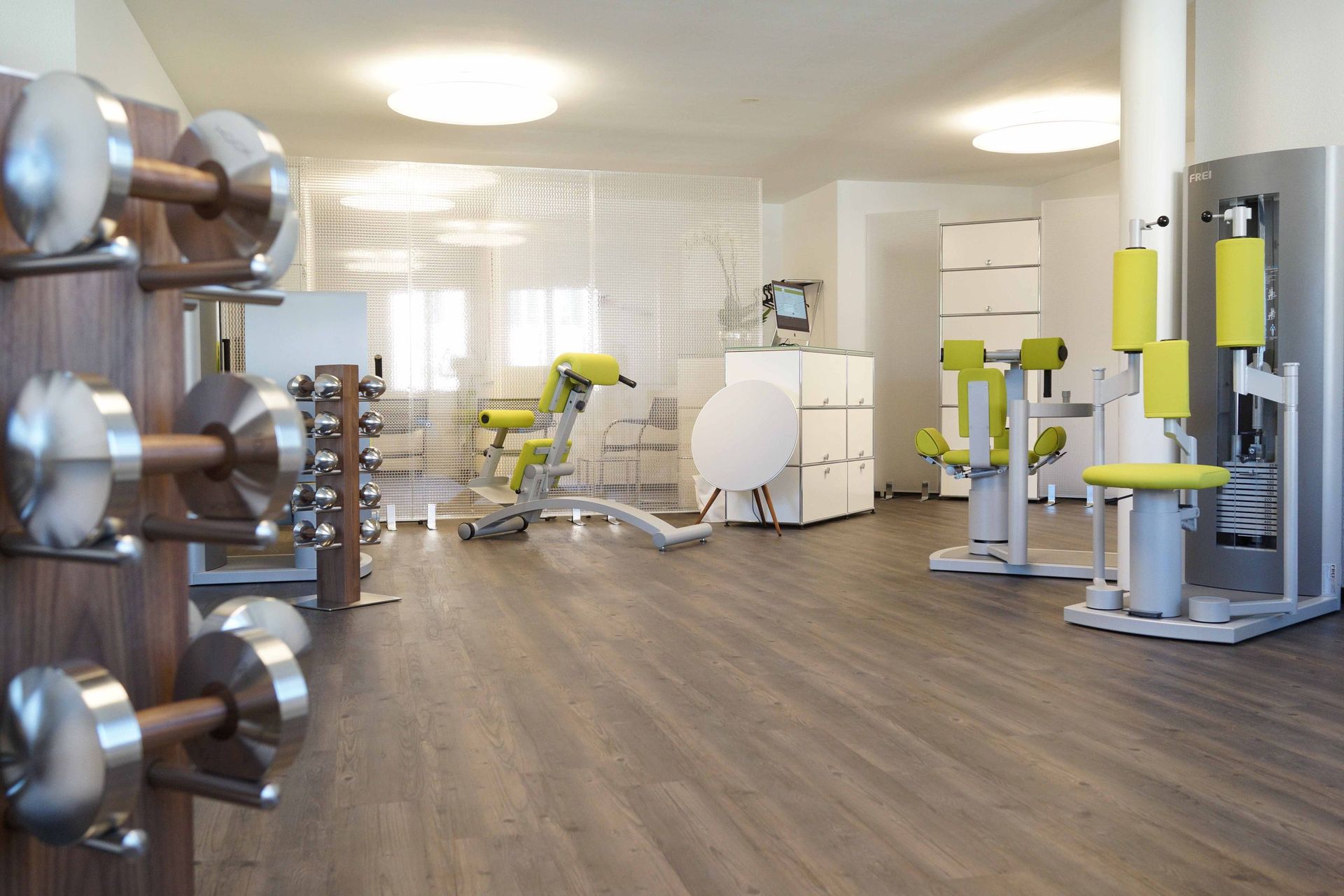 Physiotherapie - Meilen - Physio Genius