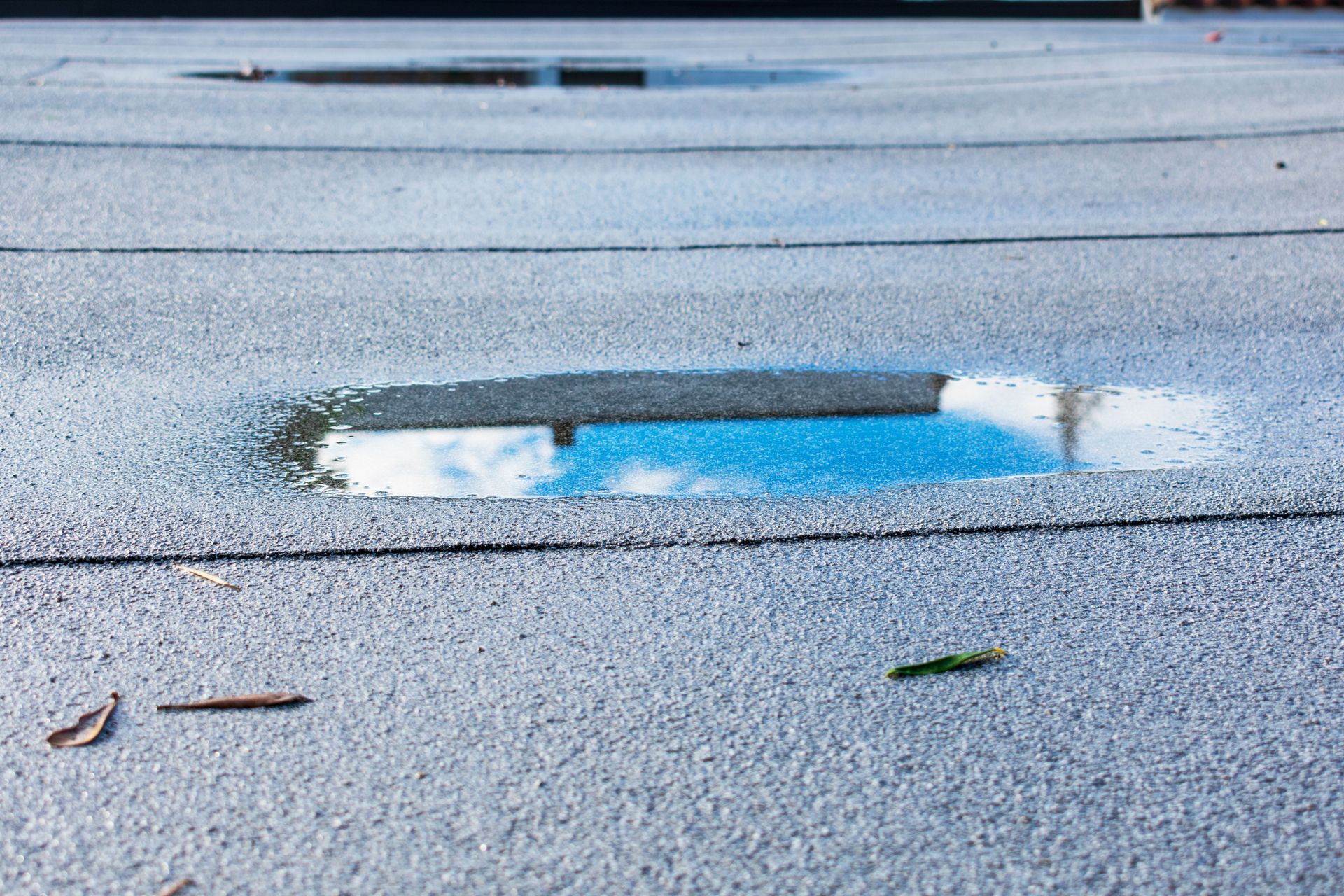 Flaque gelée sur un trottoir gris avec un reflet bleu et des petites feuilles éparses