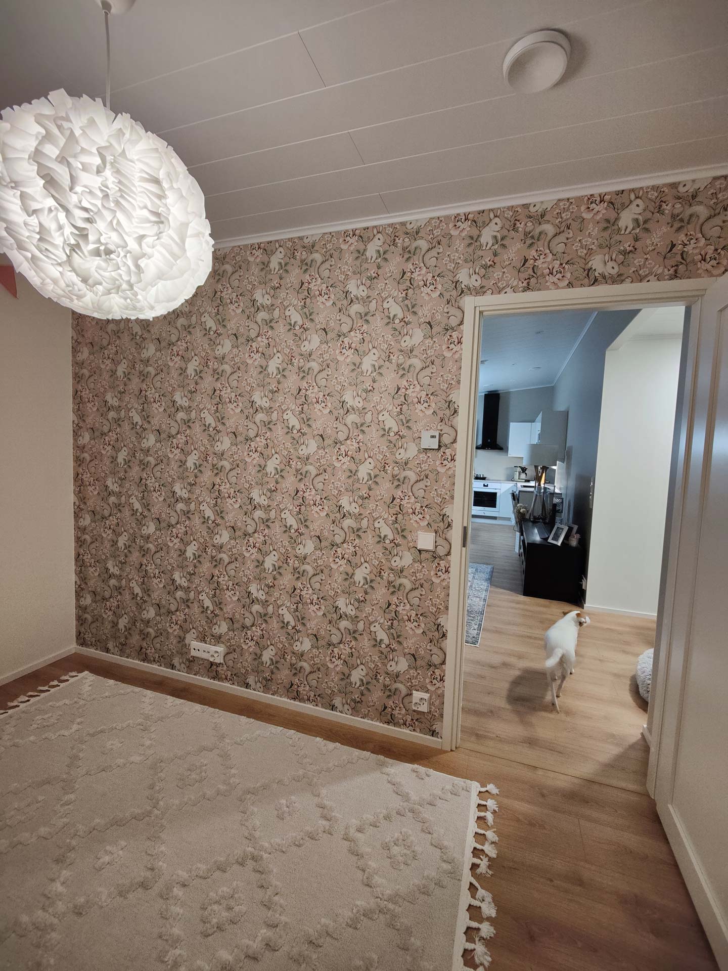 Maalaus ja tapetointi