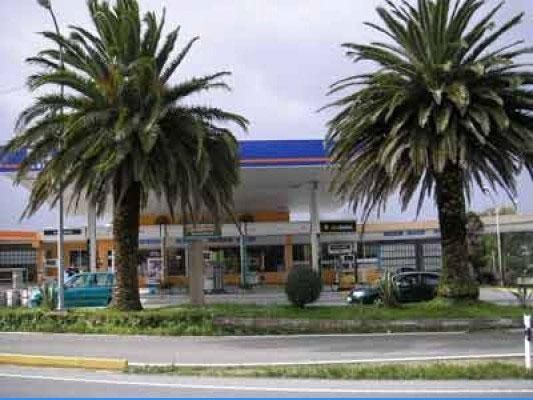 Gasolinera con dos palmeras altas frente a un edificio bajo con el tejado azul