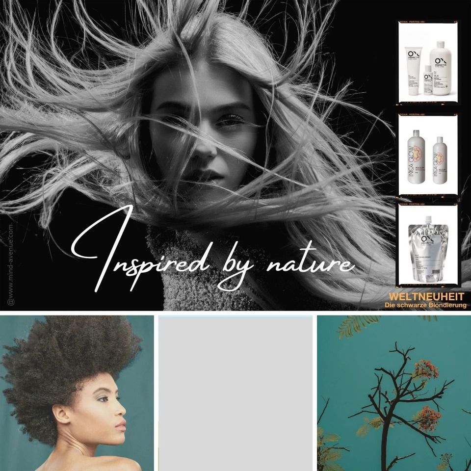 Siegfried Coiffure & Kosmetik GmbH