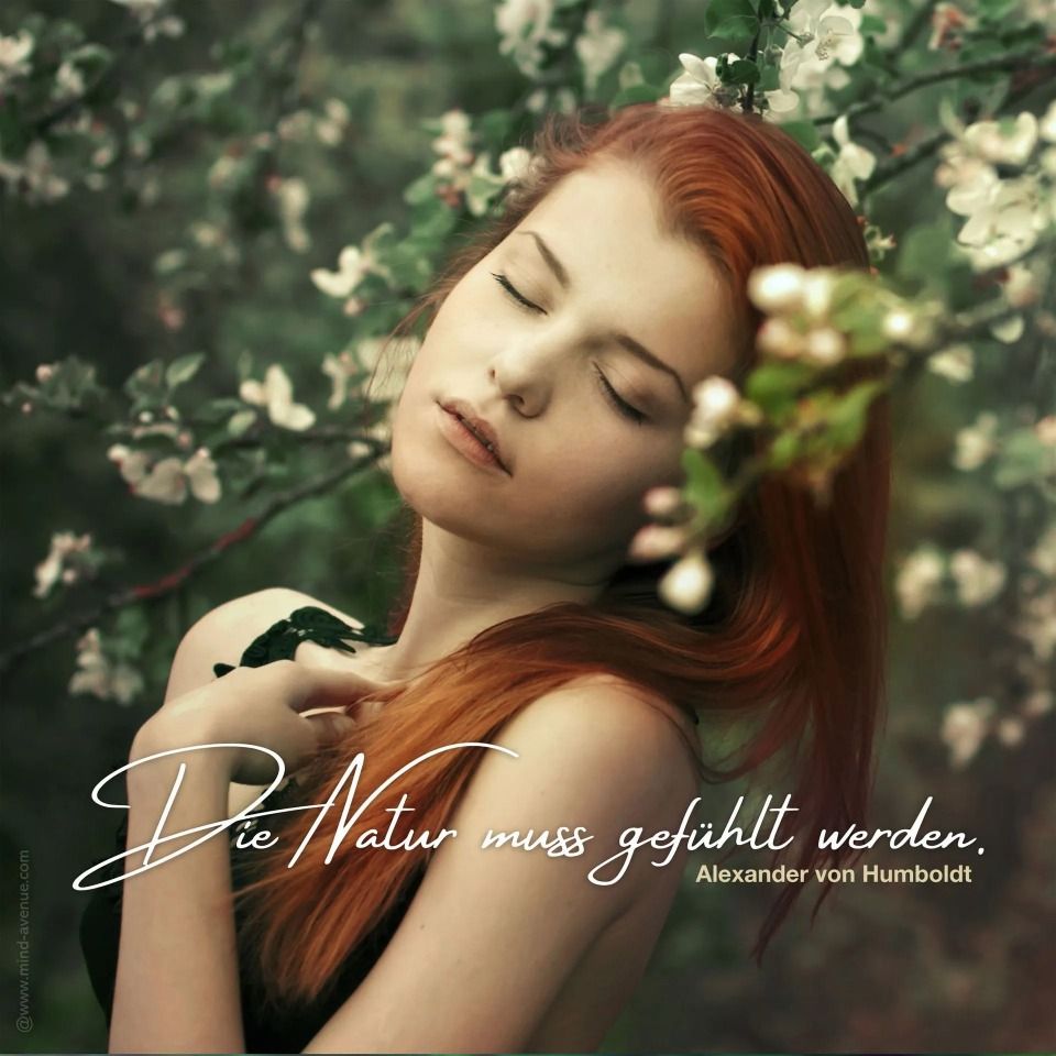 Siegfried Coiffure & Kosmetik GmbH