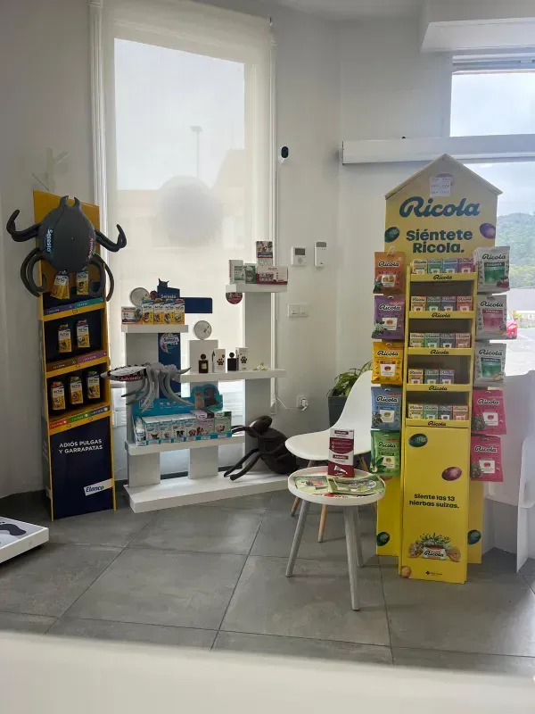 Interior de la tienda con coloridos expositores de aperitivos y dulces cerca de una ventana luminosa.