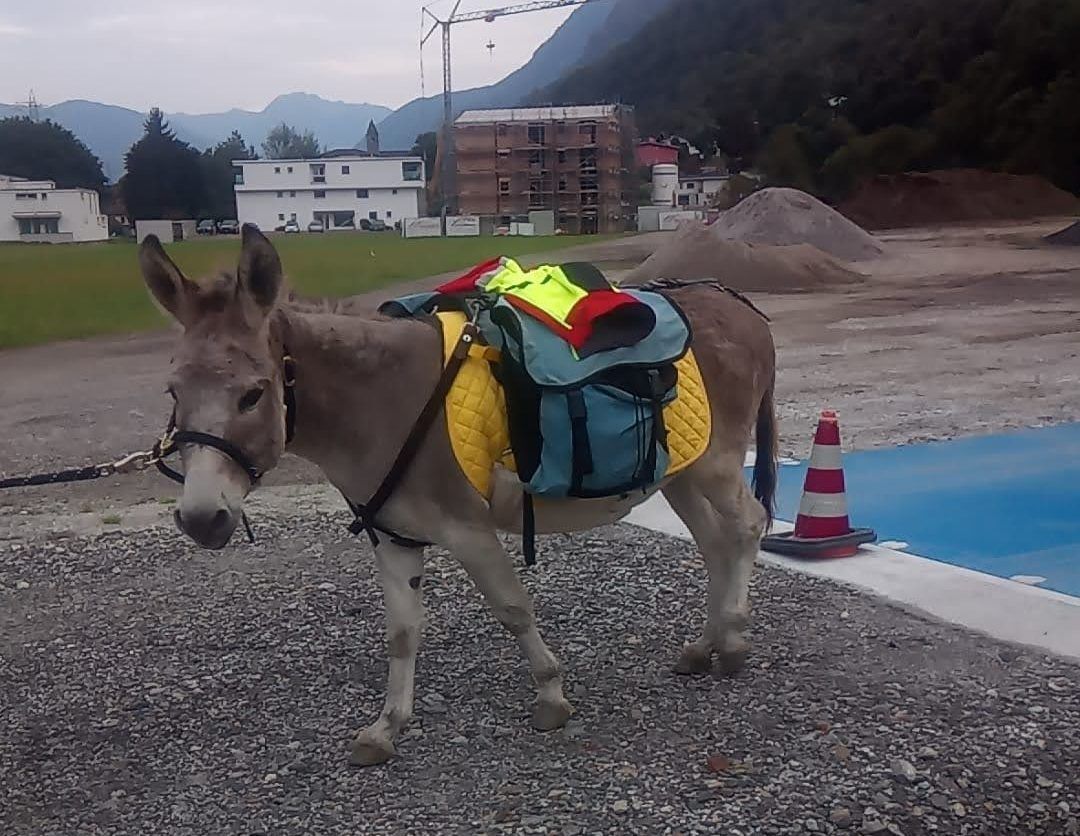 AZIENDA AGRICOLA LUNA PIENA