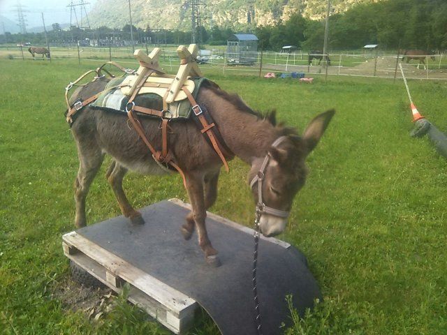 AZIENDA AGRICOLA LUNA PIENA