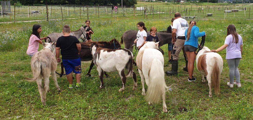 AZIENDA AGRICOLA LUNA PIENA