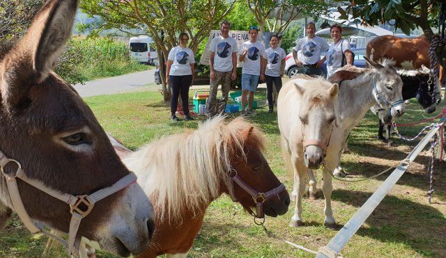 AZIENDA AGRICOLA LUNA PIENA
