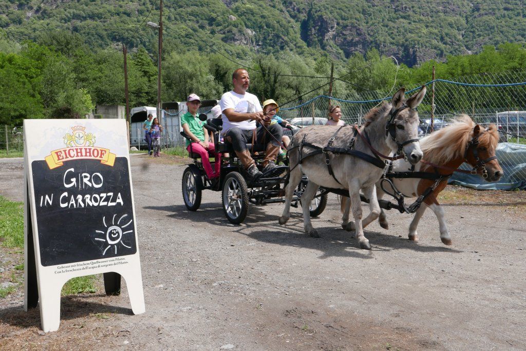 AZIENDA AGRICOLA LUNA PIENA