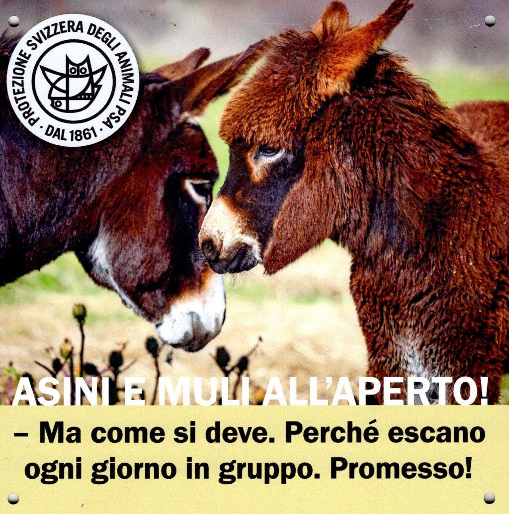 AZIENDA AGRICOLA LUNA PIENA