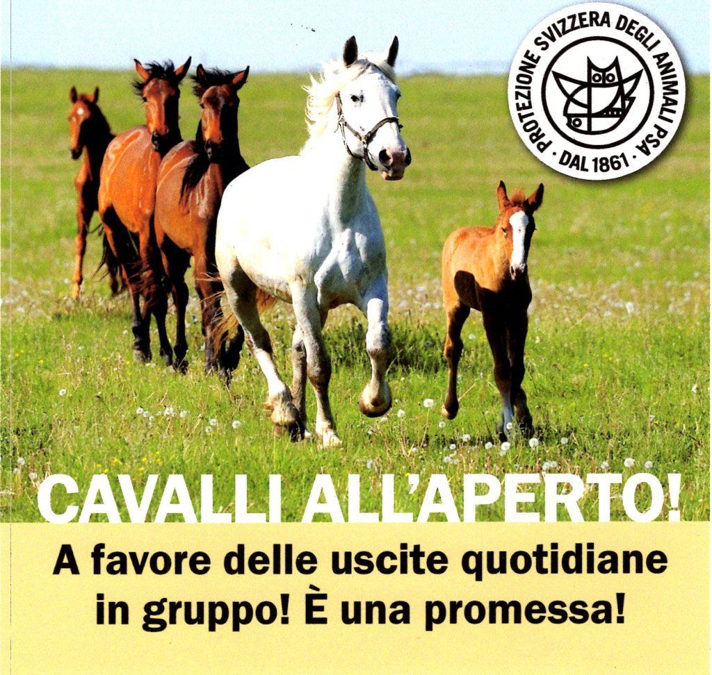 AZIENDA AGRICOLA LUNA PIENA