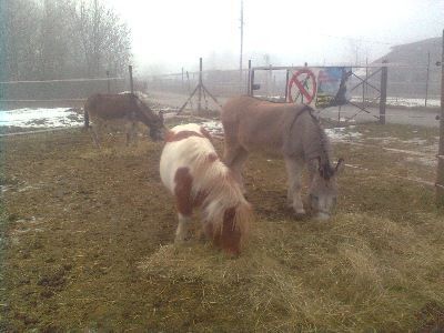 AZIENDA AGRICOLA LUNA PIENA