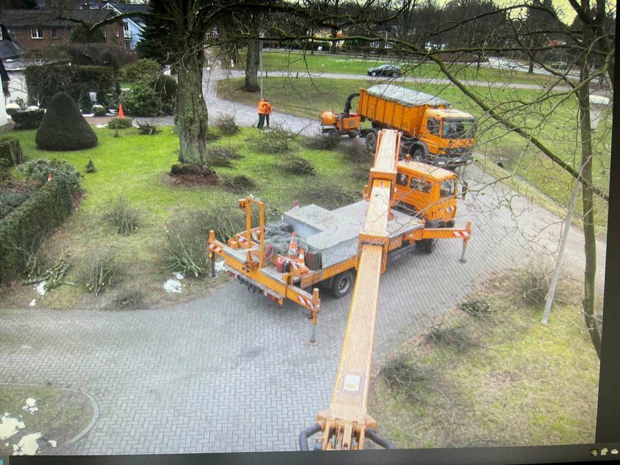 Edgar Günther GmbH Garten- und Landschaftsbau Rund um den Baum 07