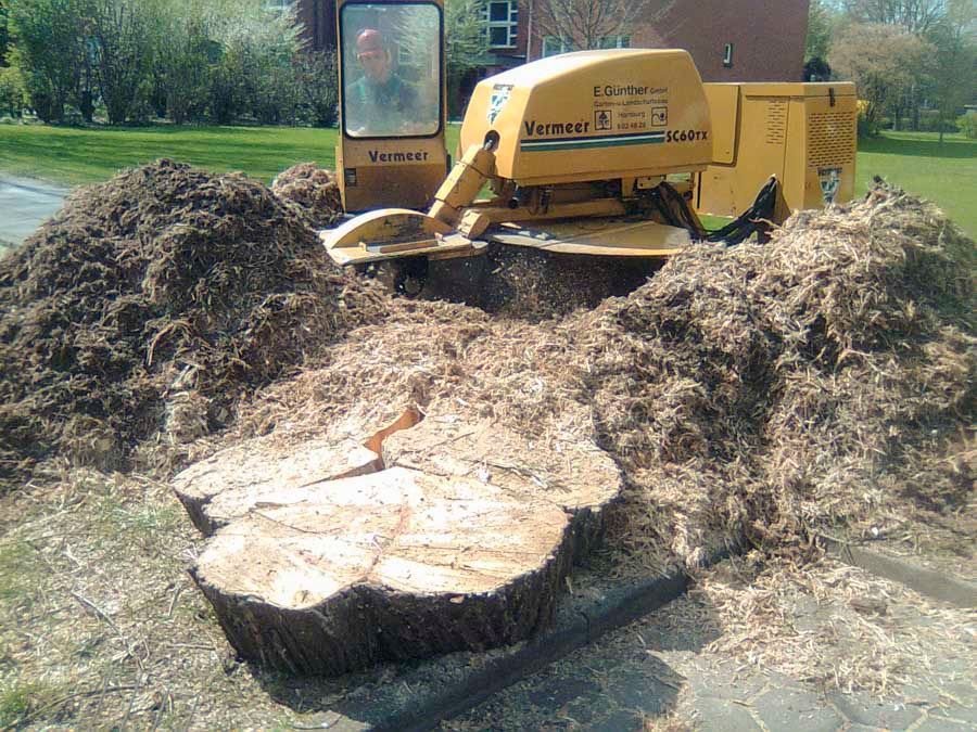 Edgar Günther GmbH Garten- und Landschaftsbau Rund um den Baum 08