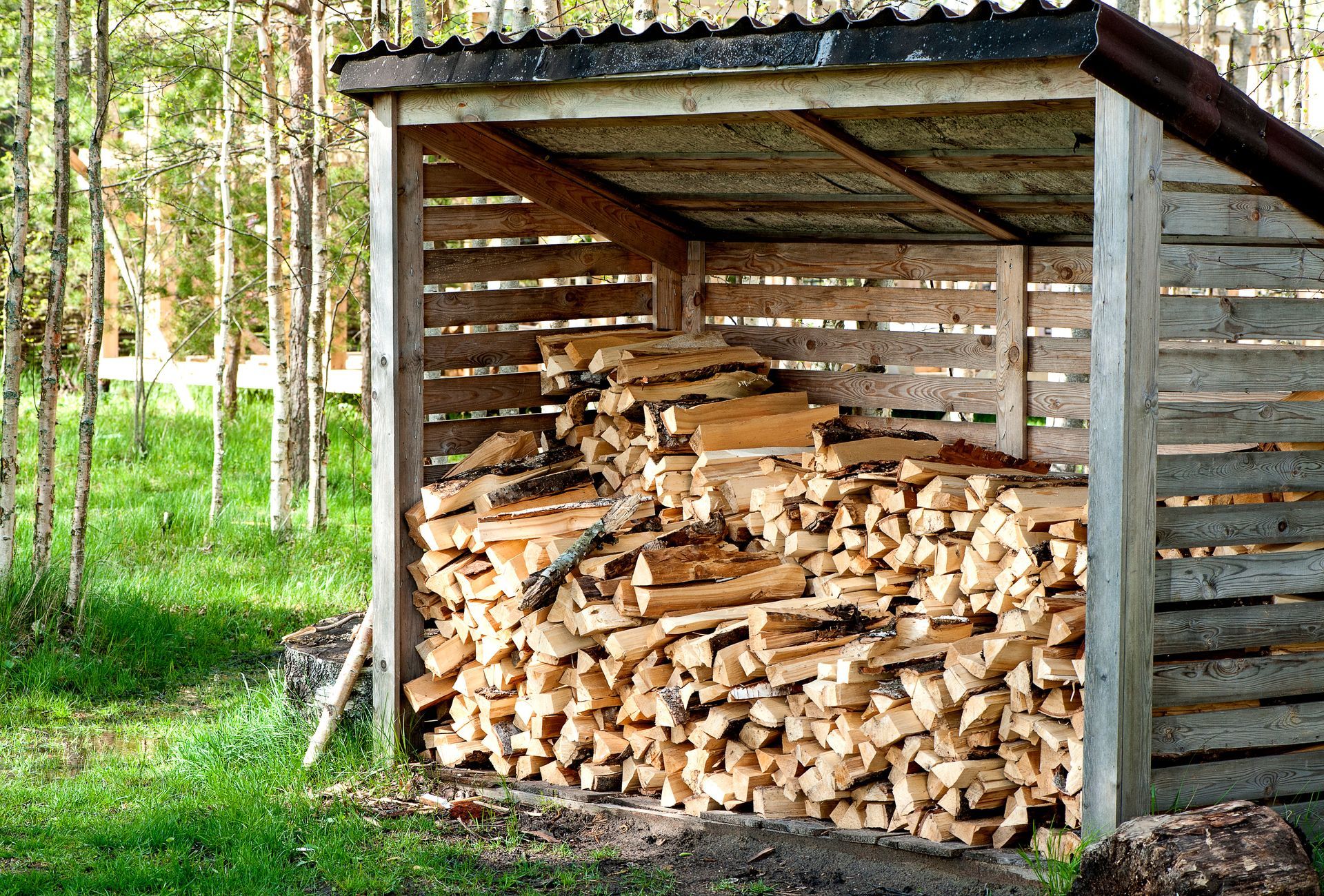 Un tas de bois empilé dans un abri en bois, dans une zone entourée d'arbres.