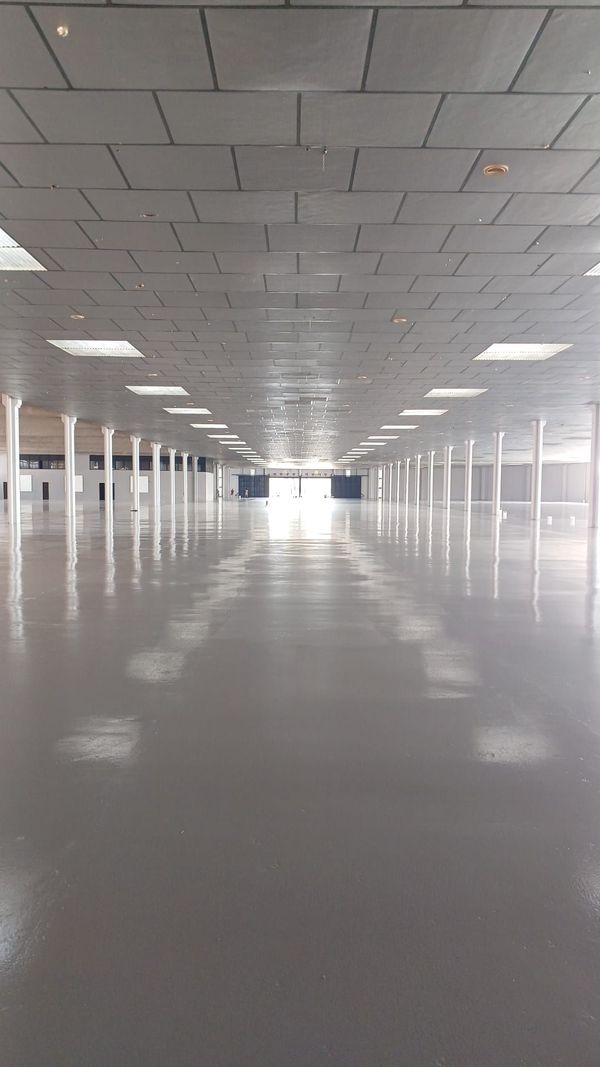 Habitación vacía y bien iluminada, con suelo verde reflectante, paredes blancas e iluminación cenital.