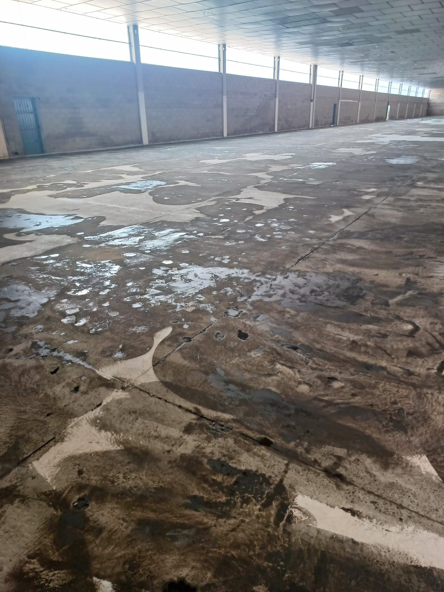 Gran interior de hormigón vacío y húmedo; edificio largo y bajo con columnas de soporte y luz brillante que entra por una abertura lateral.