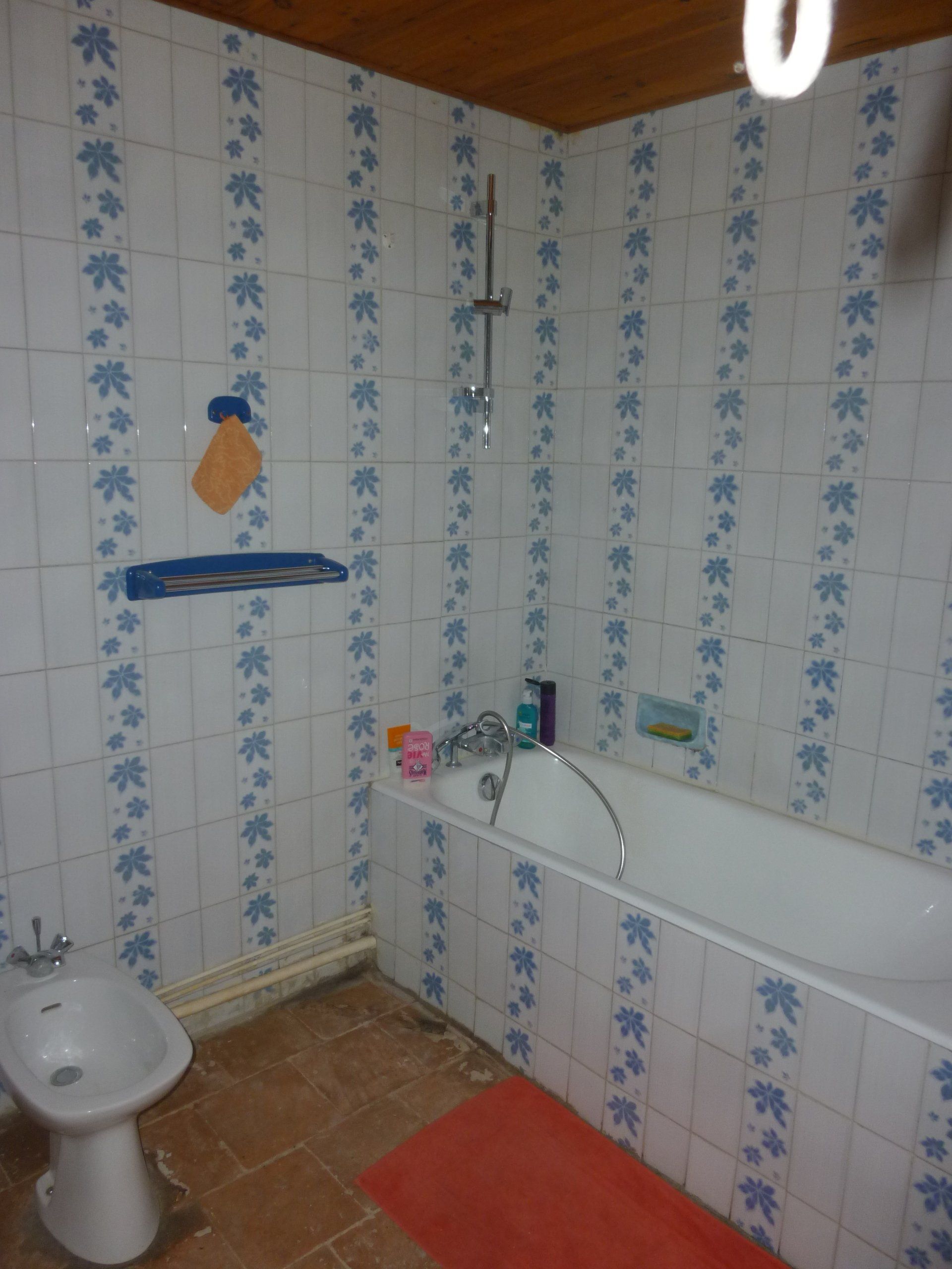 Salle de bains avec baignoire et bidet
