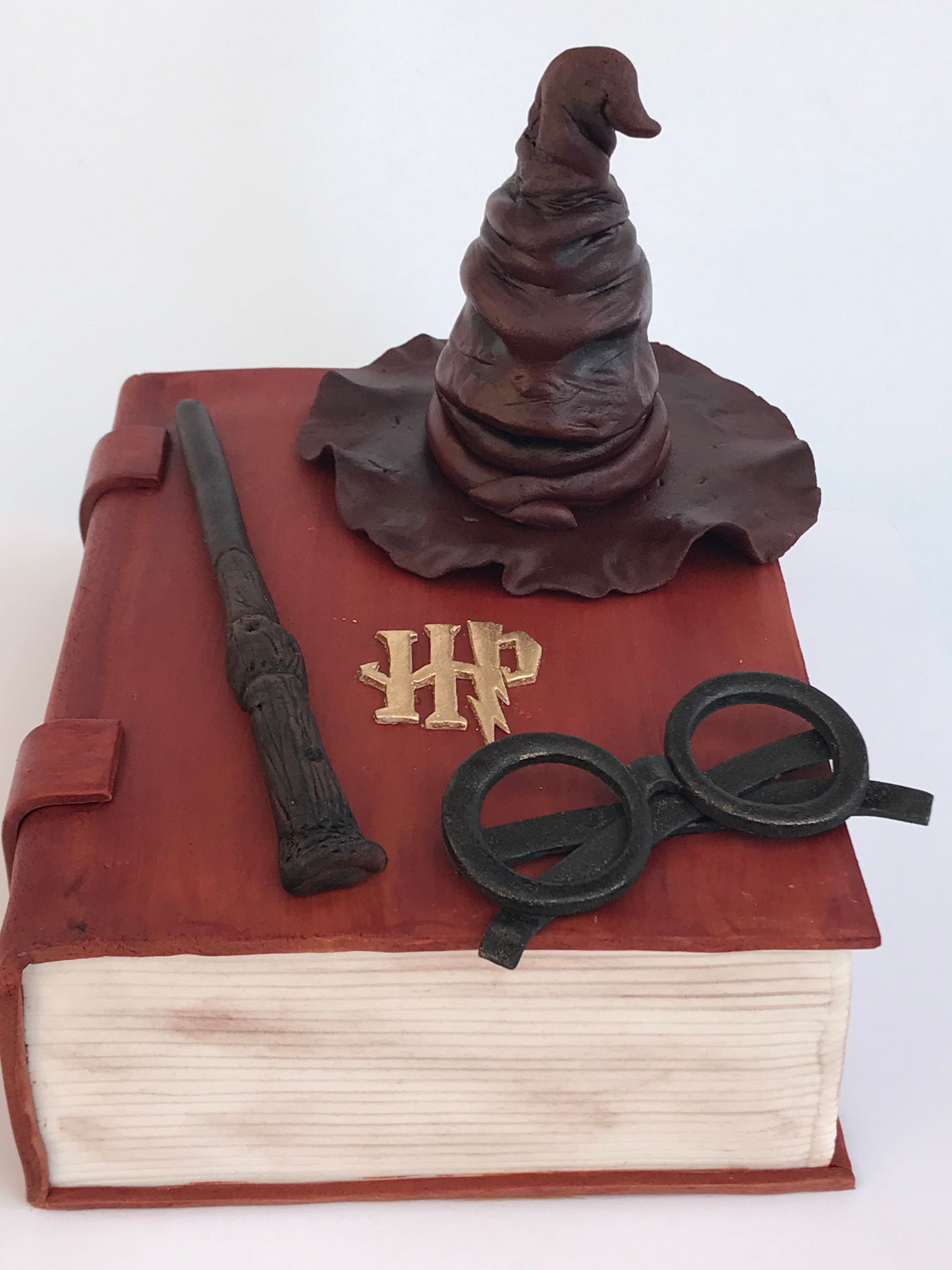 Un libro de Harry Potter con un sombrero, una varita y gafas encima.