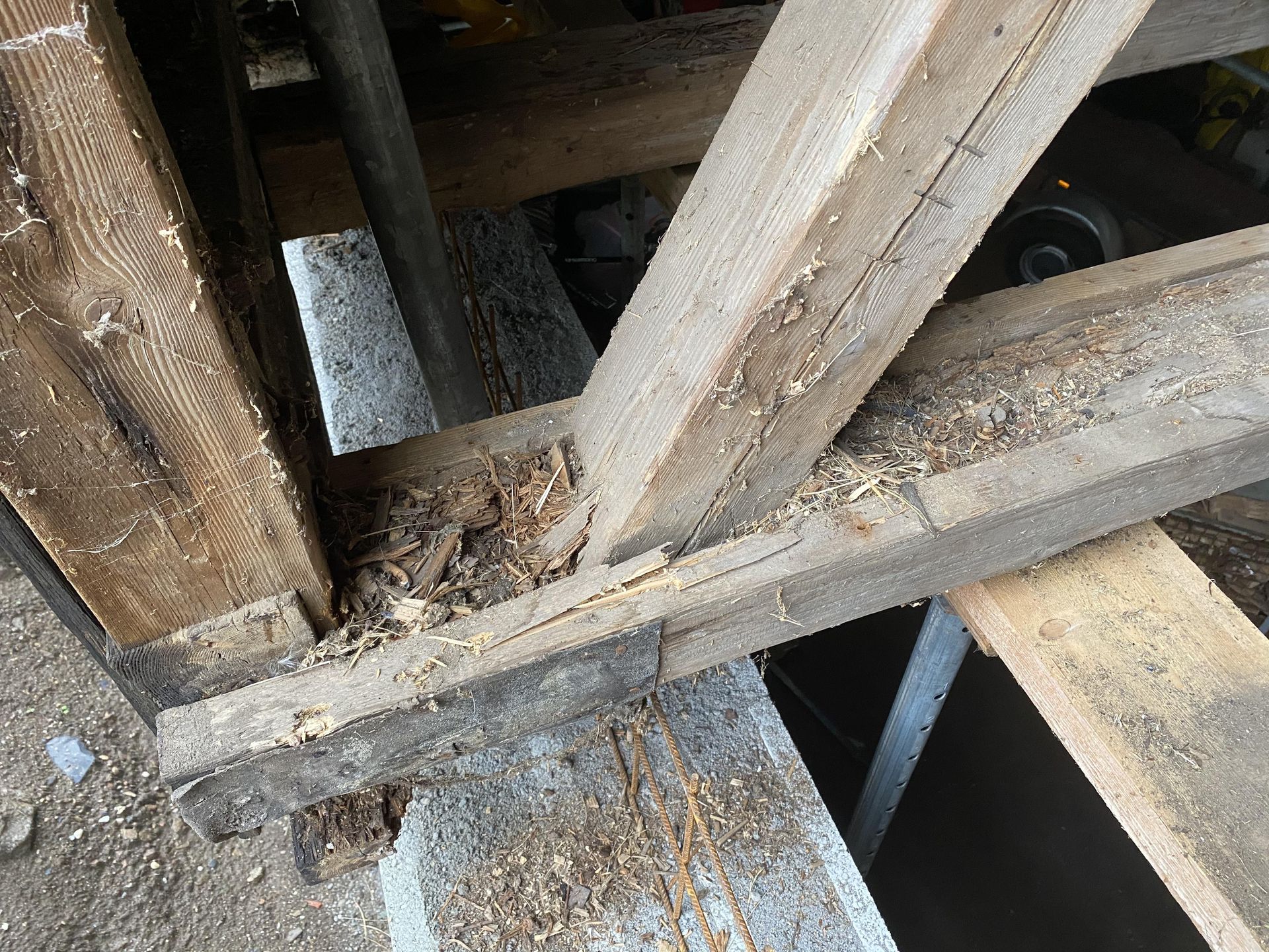 Altbau-Holzsanierung 