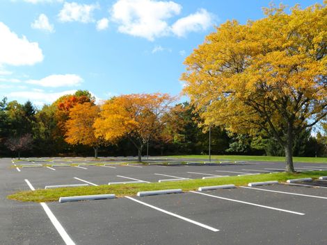 Parking extérieur bien nettoyé avec des arbres en automne.