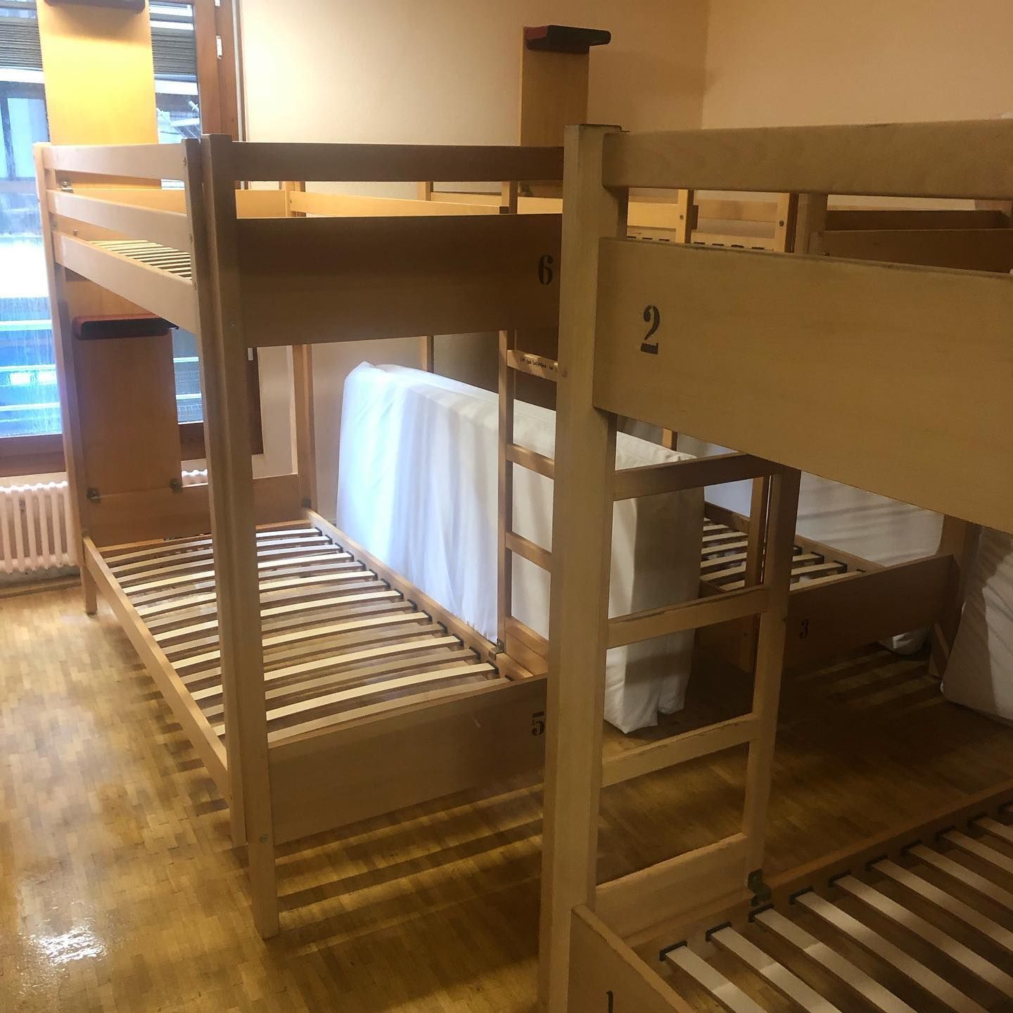 DetectDOG - désinfectation de punaises de lit