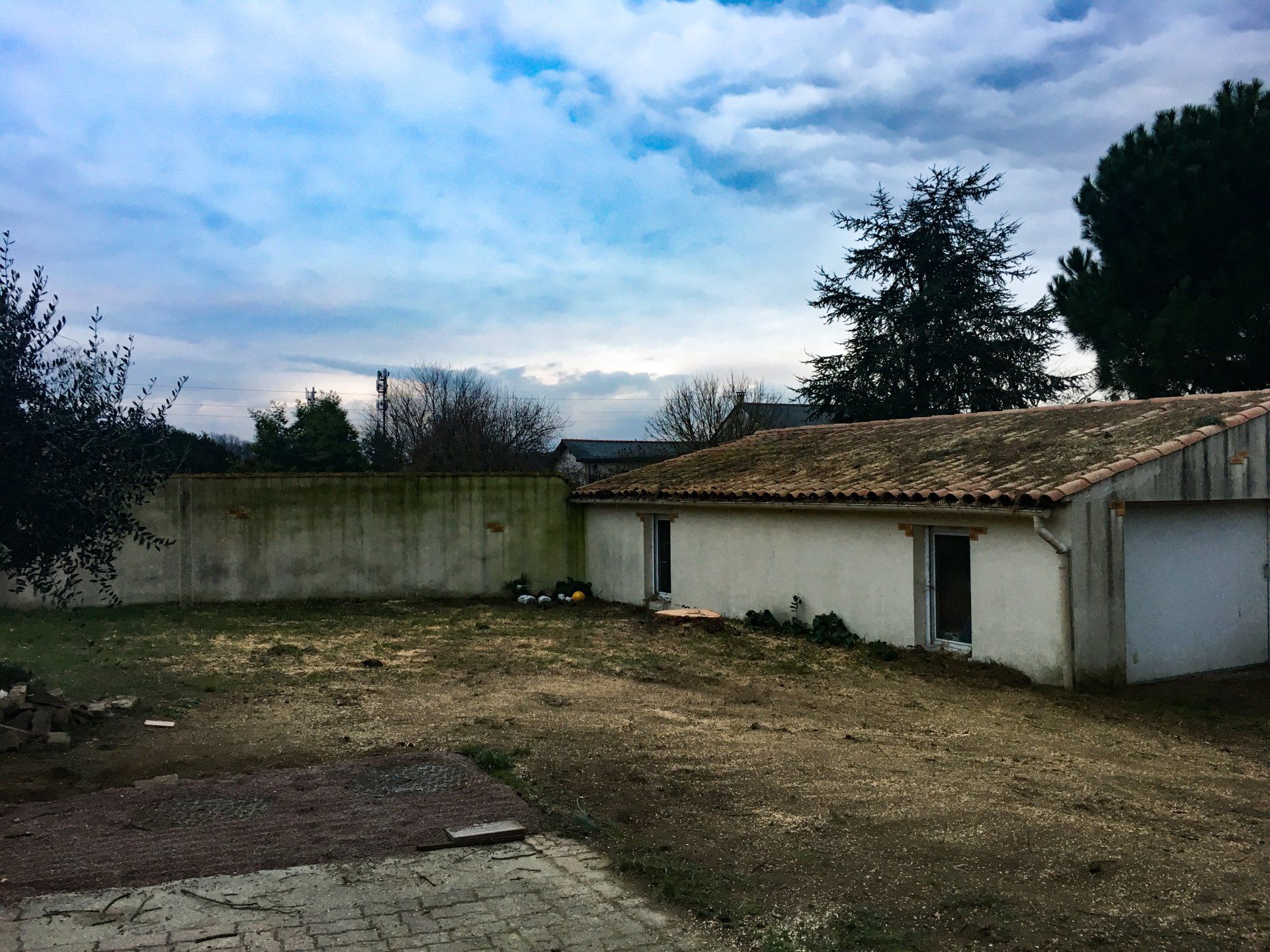 Abattage d’arbre après