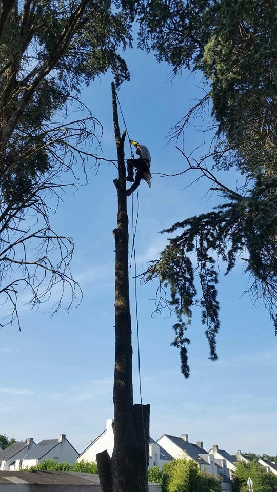 Démontage d’arbre