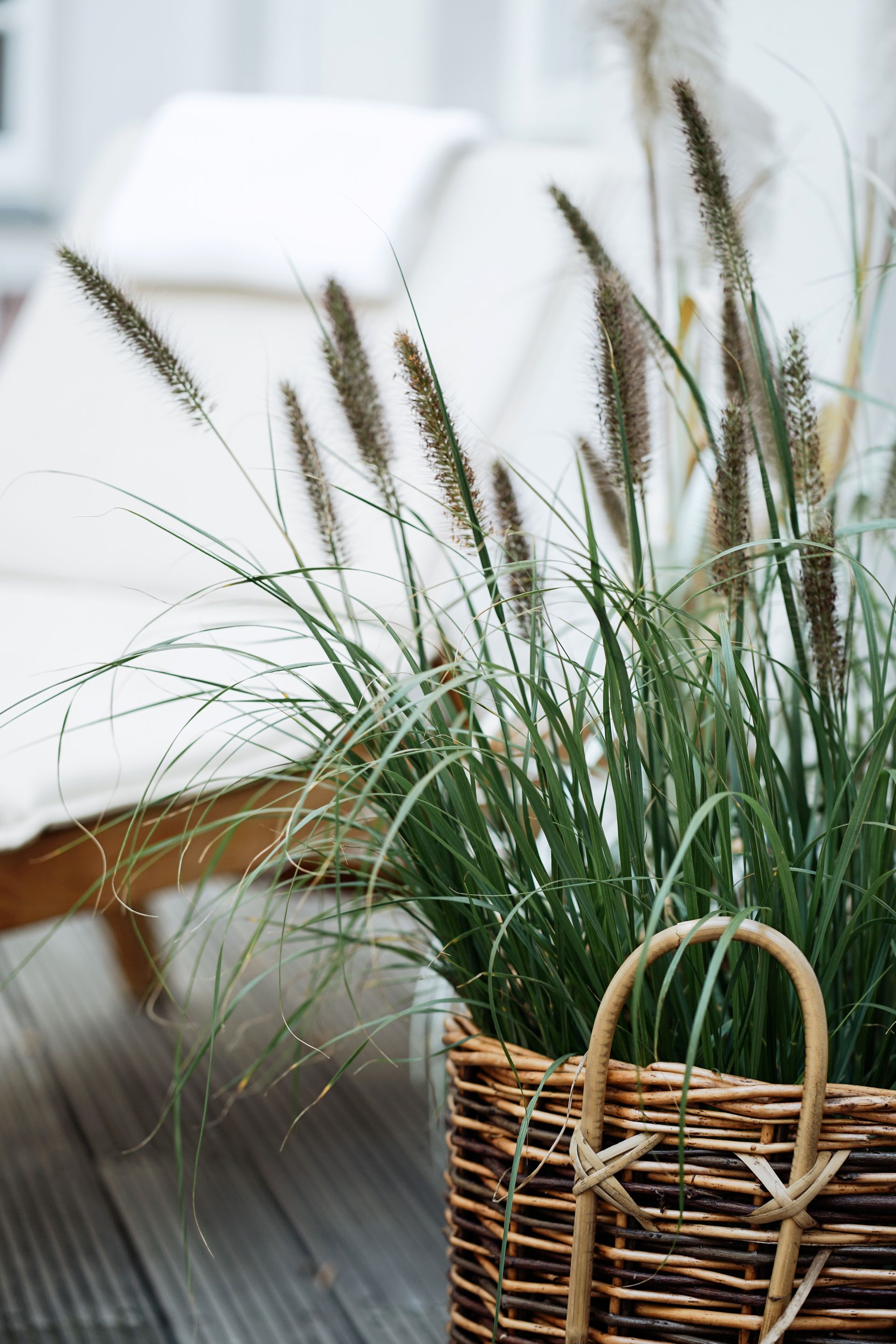 Hohes Ziergras in einem Weidenkorb, im Hintergrund ist ein weißer Liegestuhl teilweise zu sehen.