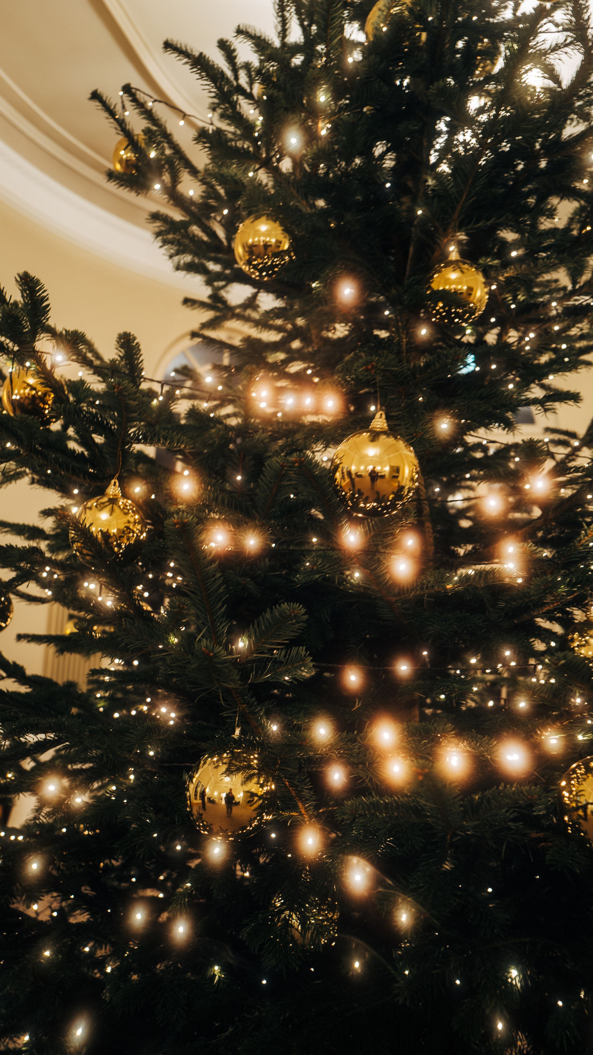 Weihnachtsbaum, geschmückt mit goldenem Schmuck und funkelnden Lichtern.