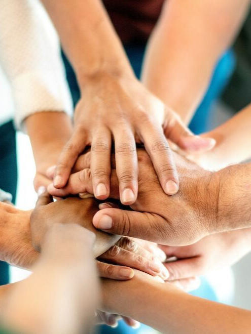 Frau schaut aus dem Fenster in die helle Sonne, Blumen auf dem Fensterbrett.