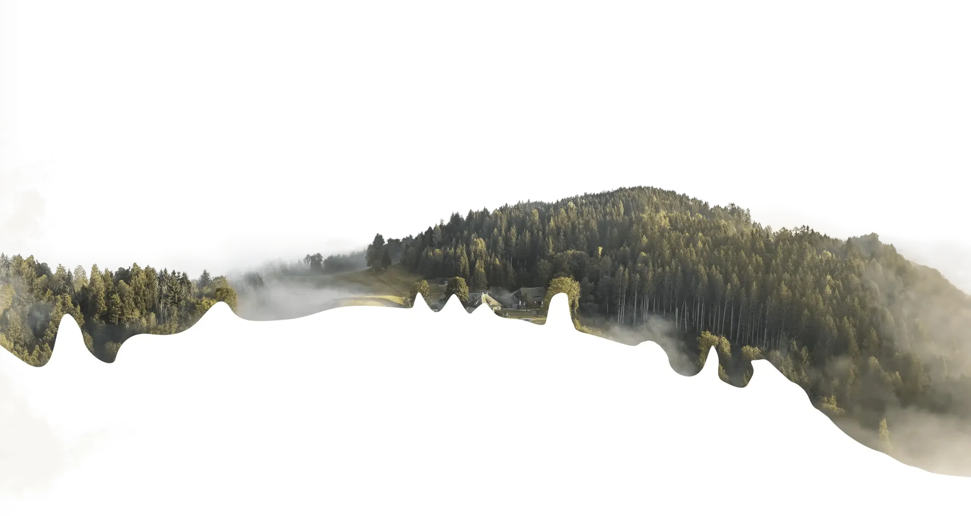 Bewaldete Berge, im Tal darunter liegt Nebel.