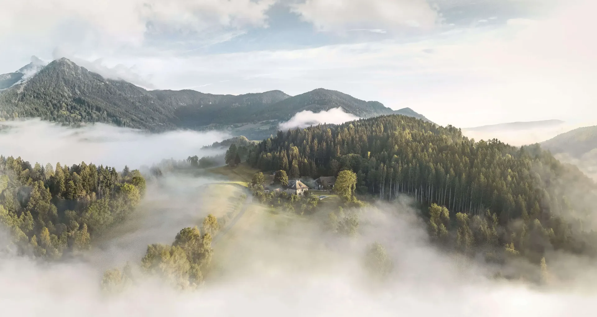 Berge mit dichten grünen Wäldern, die teilweise in weißen Nebel gehüllt sind.