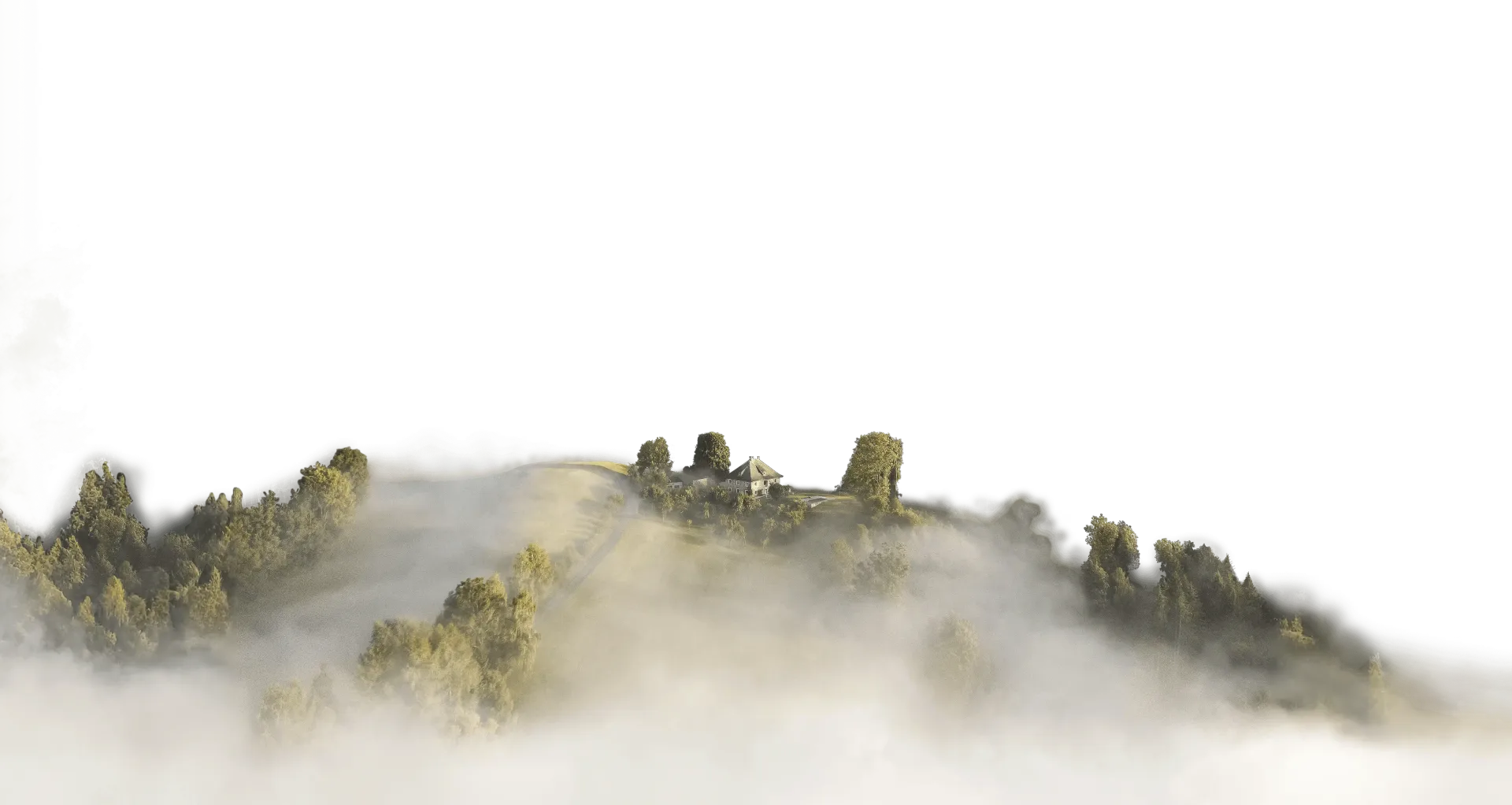 Berggipfel ragen aus dichtem, weißem Nebel empor. Goldene und grüne Farbtöne schimmern auf den Felsen.