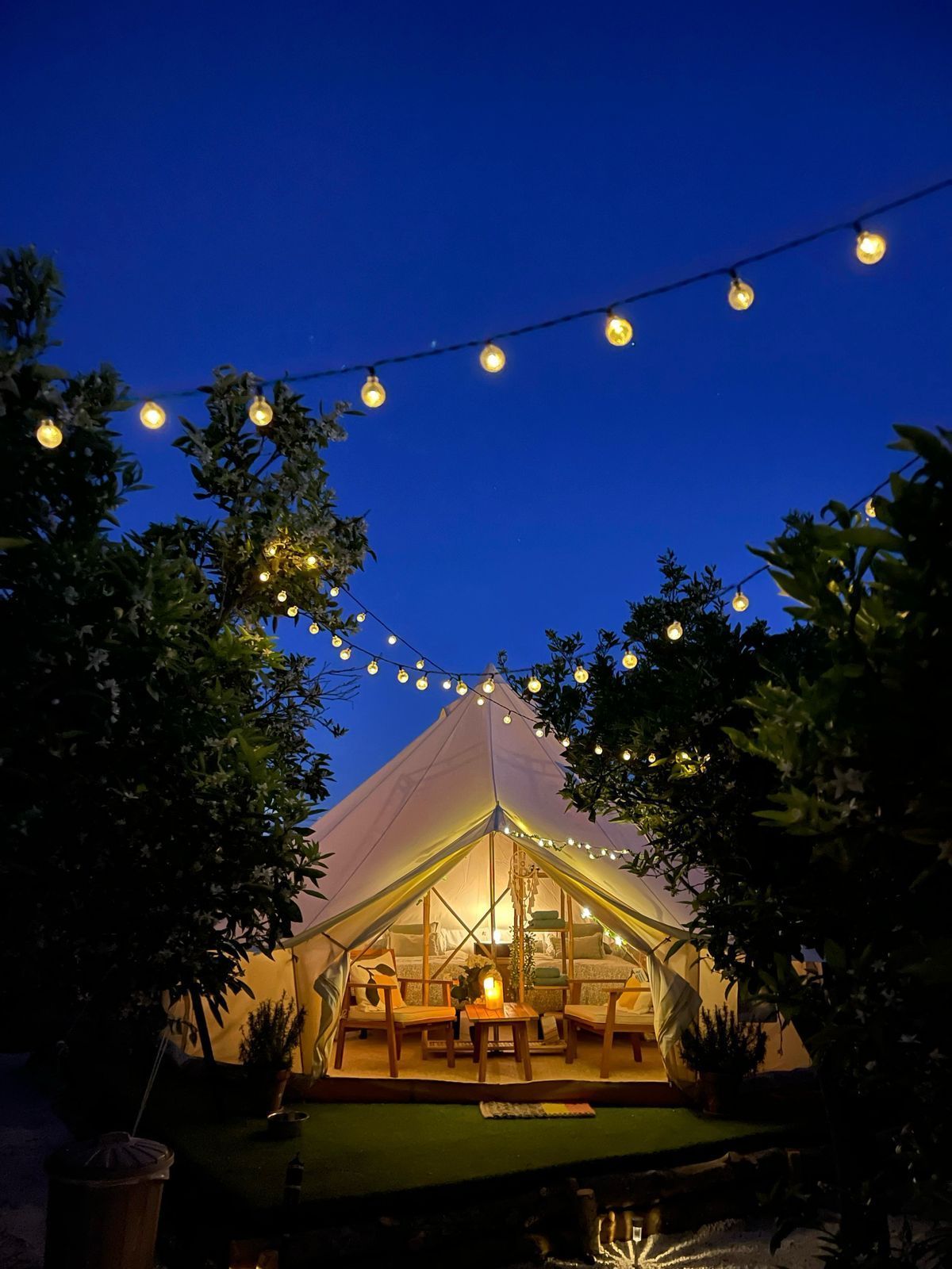 Una tienda de campaña glamping iluminada por la noche con luces de cadena encima, los árboles enmarcan la vista bajo un cielo azul oscuro.