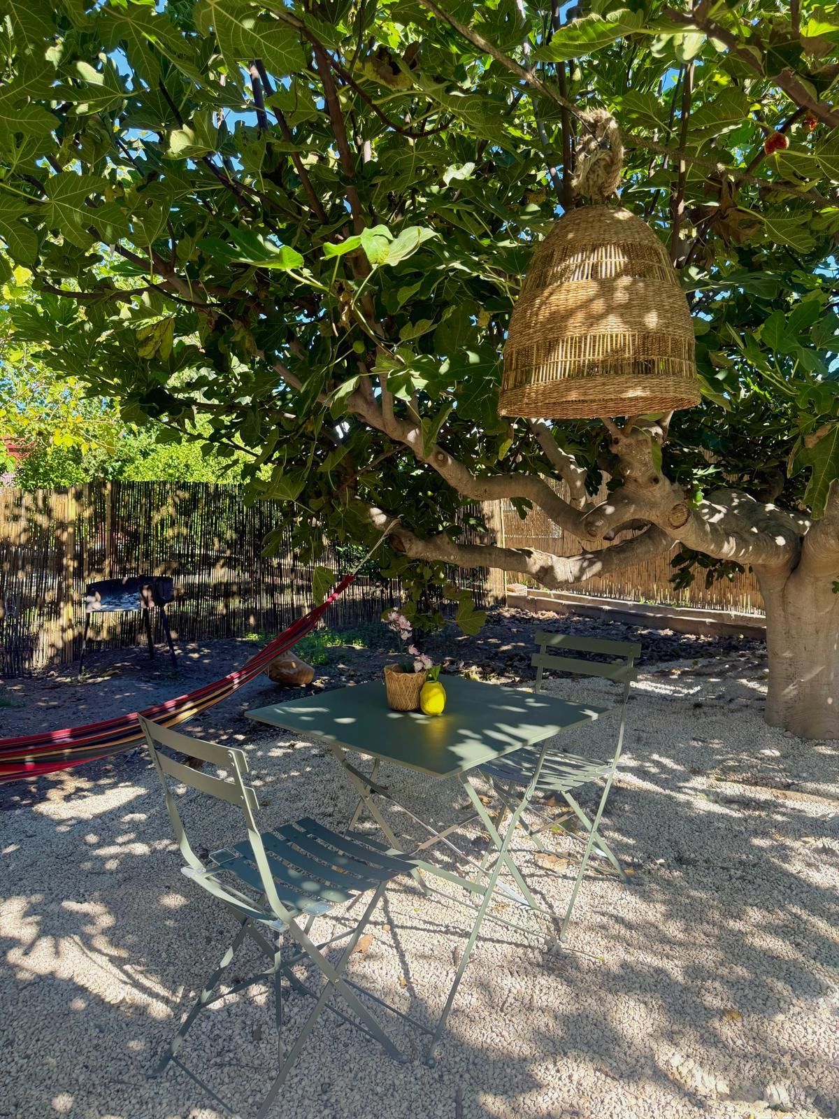 Un sombrío paisaje al aire libre con una mesa y sillas bajo un árbol. Una jaula de pájaros tejida y decorativa cuelga de una rama.